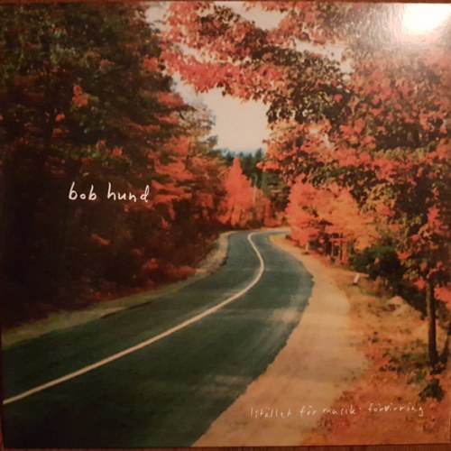 bob hund – Istället För Musik: Förvirring