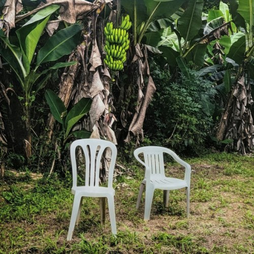 Bad Bunny – Debí Tirar Más Fotos